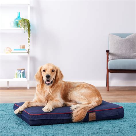 Orthopedic Vs Memory Foam Dog Bed